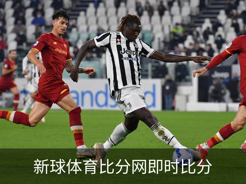 关于新球体育比分网即时比分